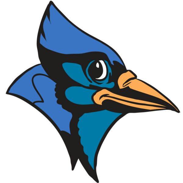 AR31 BLUEJAY 04 RQC Thumbnail